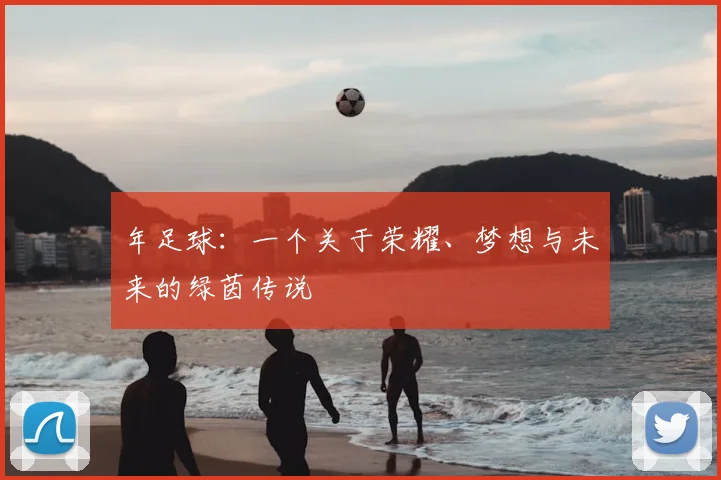 年足球:一个关于荣耀、梦想与未来的绿茵传说