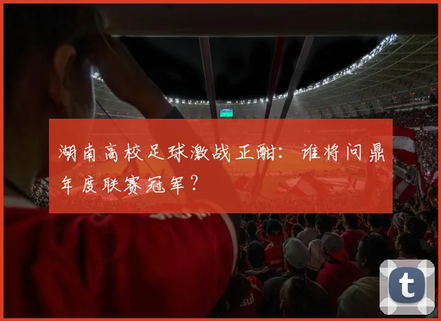 湖南高校足球激战正酣:谁将问鼎年度联赛冠军?